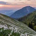 Malina I Peaceful Near Bled & Mountain Views 3* Blejska Dobrava