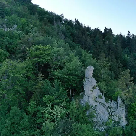 Malina I Peaceful Near Bled & Mountain Views 3*