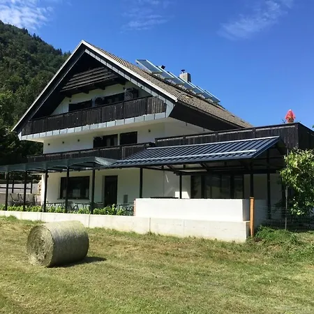 Malina Blejska Dobrava