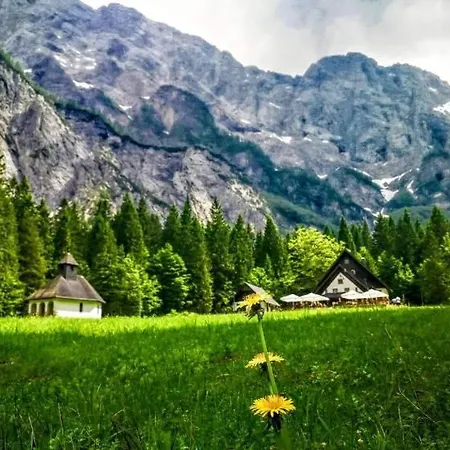 Malina I Peaceful Near Bled & Mountain Views