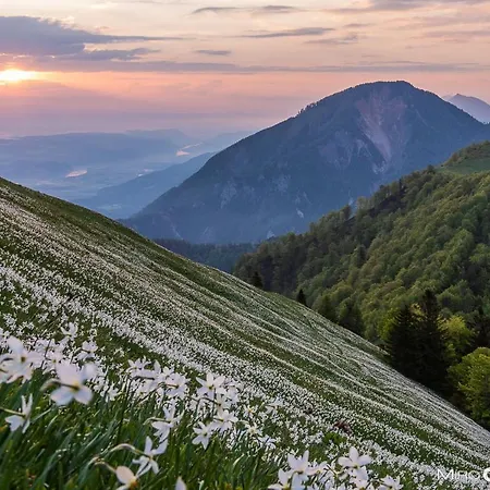Malina I Peaceful Near Bled & Mountain Views 3* Blejska Dobrava