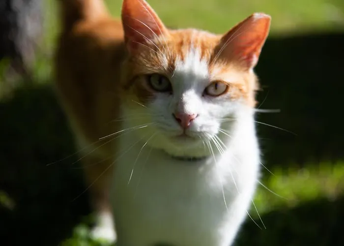 Vendégház Malina 3*