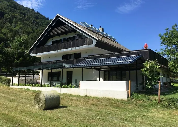 Malina Blejska Dobrava