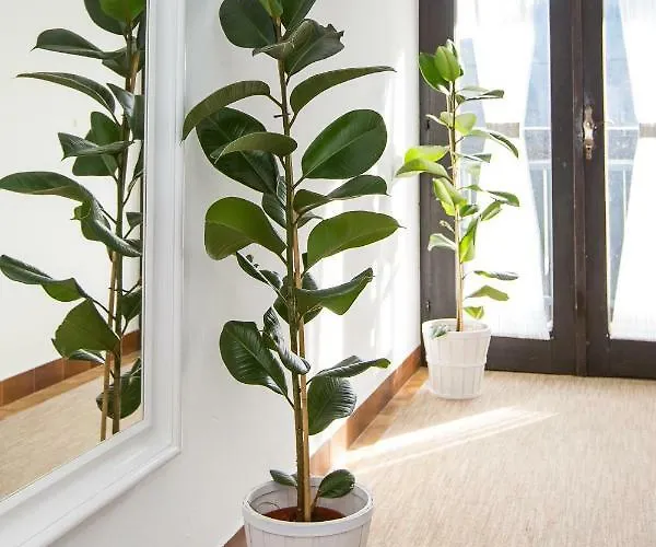 Vendégház Malina Blejska Dobrava